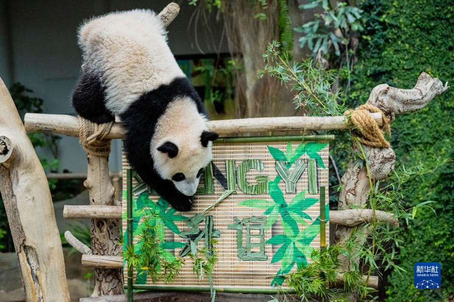 525գ؈xR¡¸ć҄@ˣЇR؈nnµĵֻ25R҄@ʽȡ顰xAӛ 쟘 z