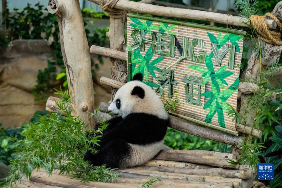 525؈xR¡¸ć҄@ЇR؈nnµĵֻ25R҄@ʽȡ顰xAӛ 쟘 z