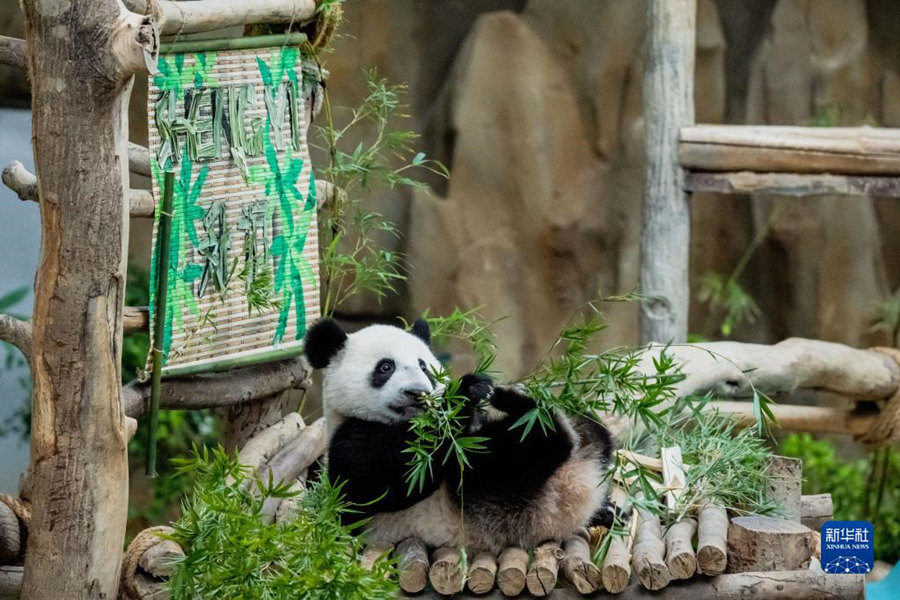 525؈xR¡¸ć҄@ЇR؈nnµĵֻ25R҄@ʽȡ顰xAӛ 쟘 z