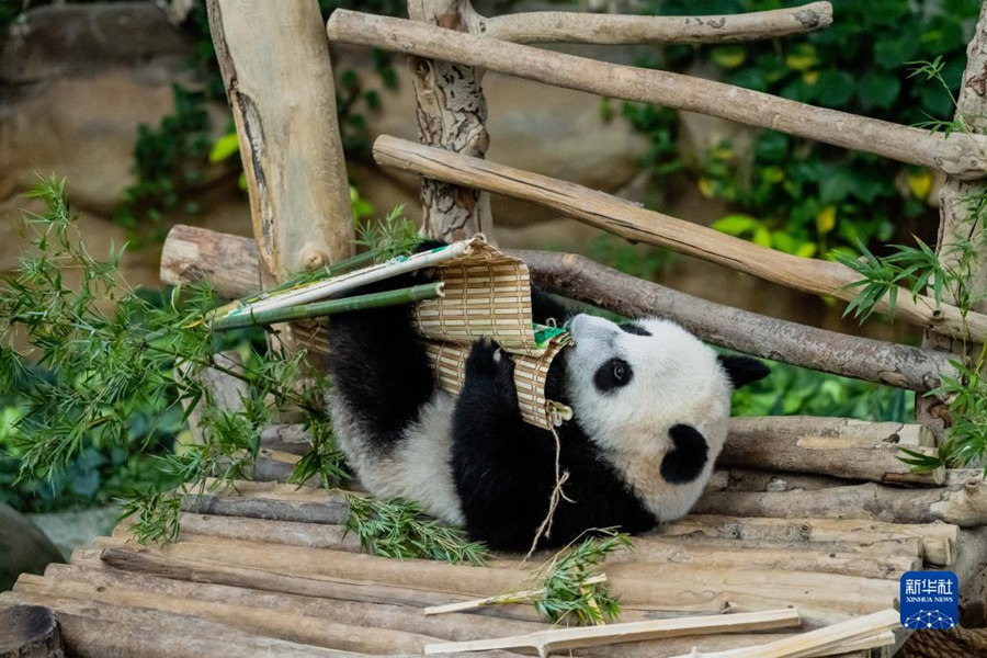 525؈xR¡¸ć҄@ˣЇR؈nnµĵֻ25R҄@ʽȡ顰xAӛ 쟘 z