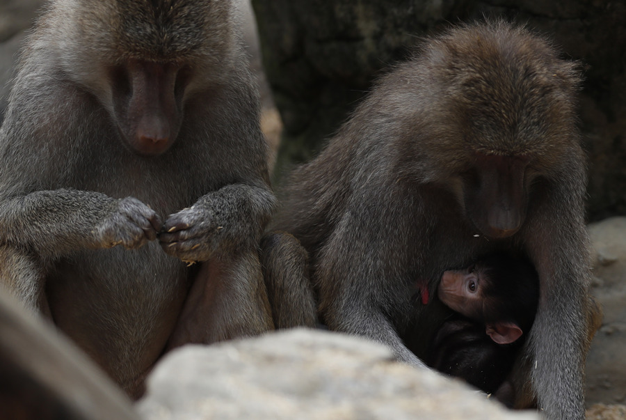 ICPhoto(qun)ƷՈ(qng)D(zhun)d