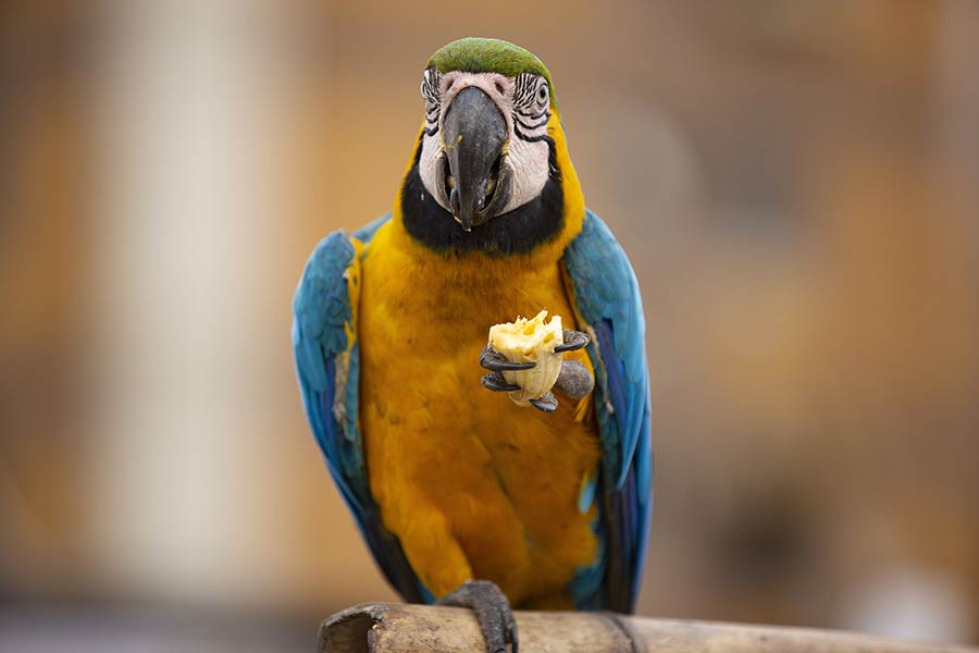 ICPhoto(qun)ƷՈD(zhun)d