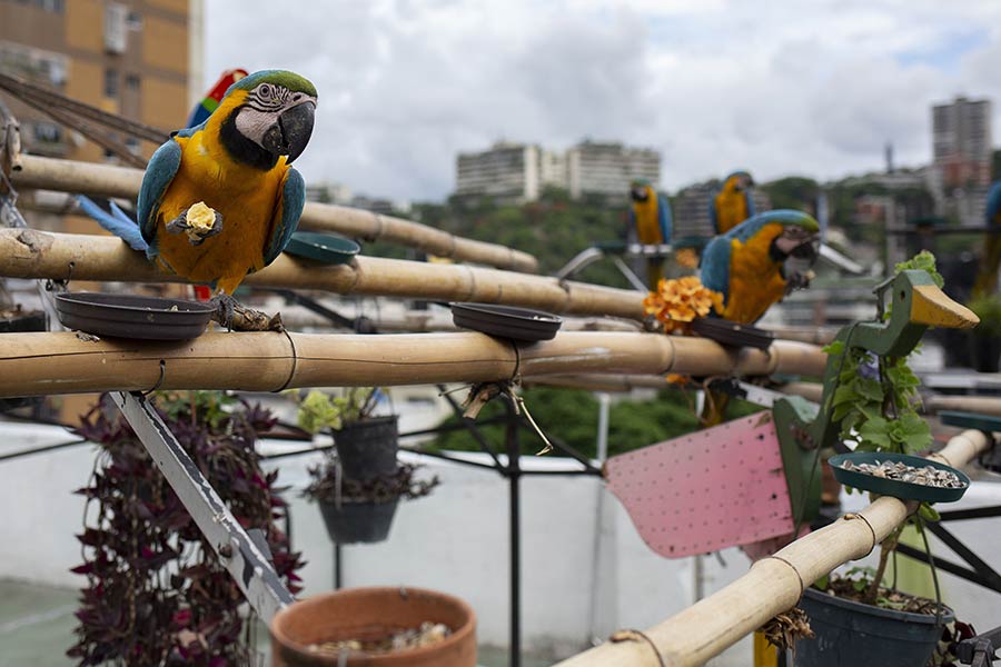 ICPhoto(qun)ƷՈ(qng)D(zhun)d