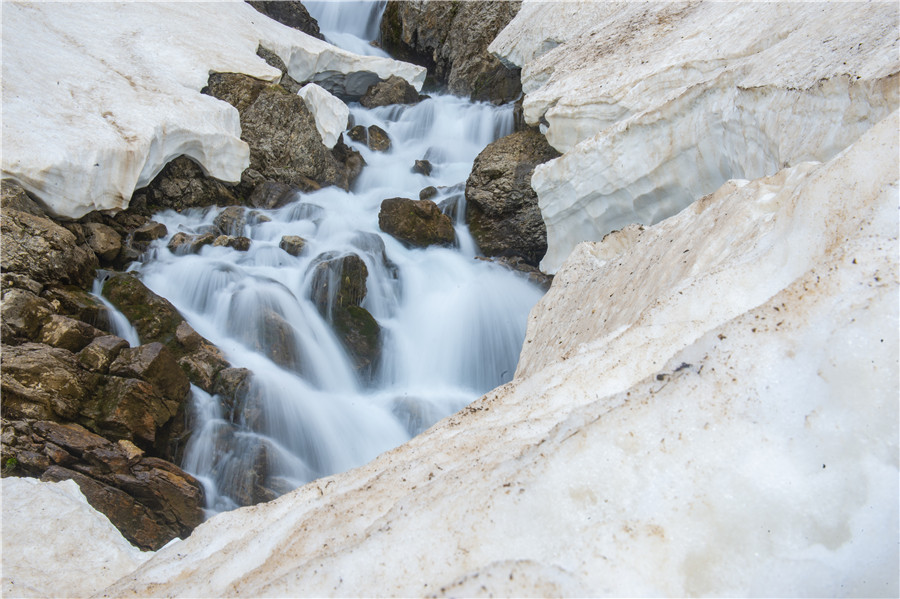 ICPhoto(qun)ƷՈD(zhun)d