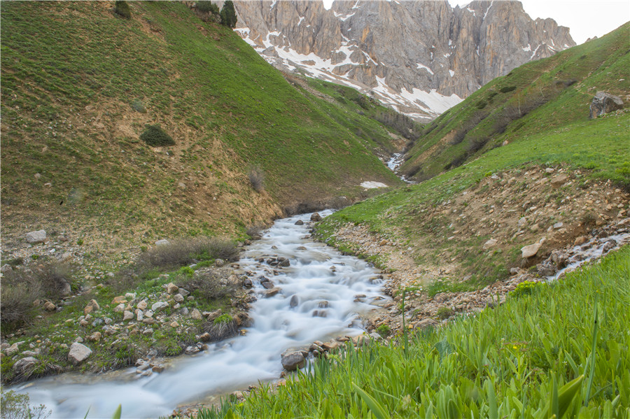 ICPhoto(qun)ƷՈD(zhun)d