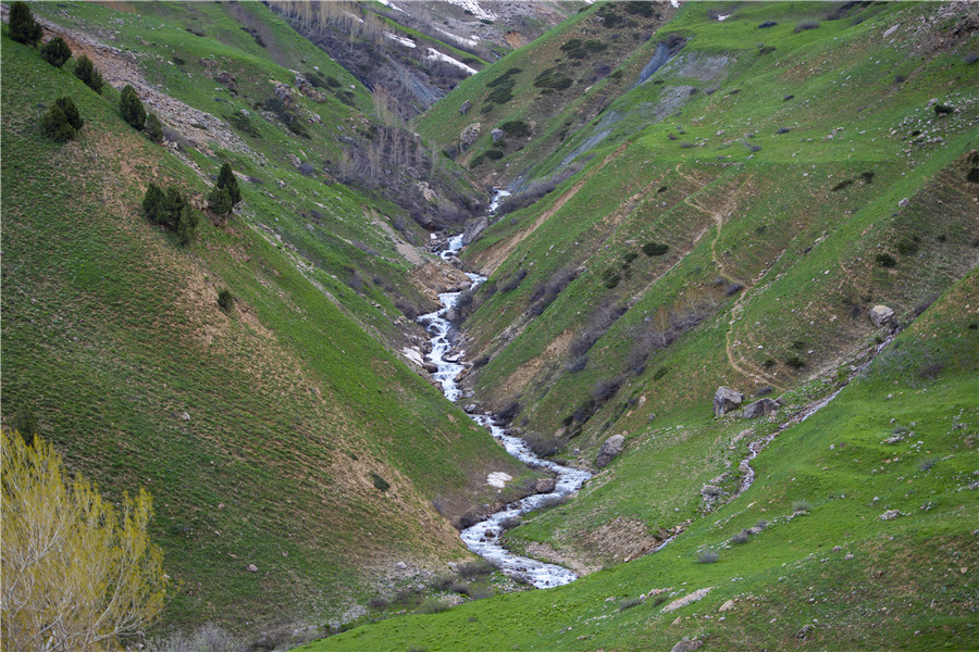 ICPhoto(qun)ƷՈ(qng)D(zhun)d