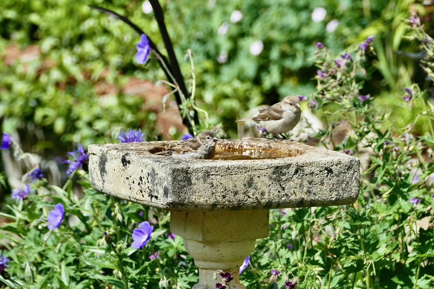 IC Photo(qun)ƷՈD(zhun)d