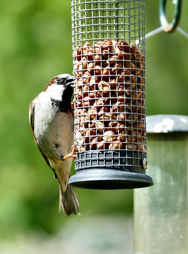 IC Photo(qun)ƷՈ(qng)D(zhun)d