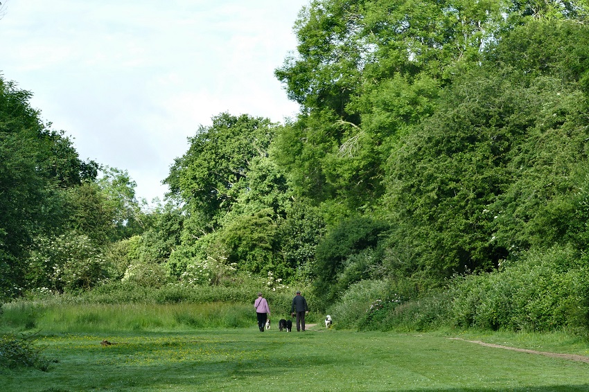 IC Photo(qun)ƷՈ(qng)D(zhun)d