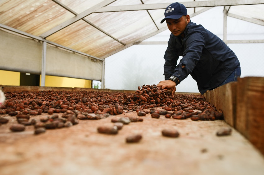 IC Photo(qun)ƷՈD(zhun)d