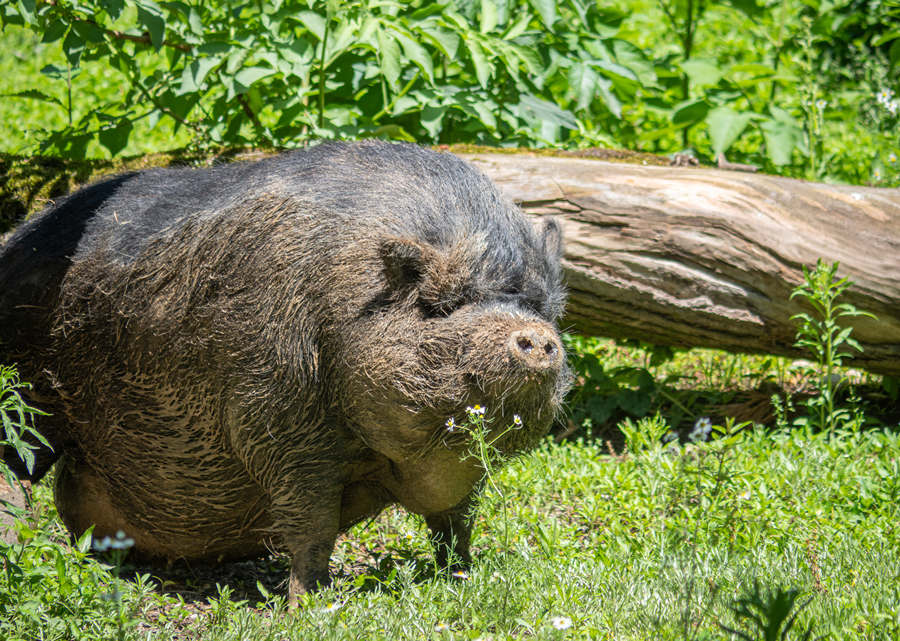 ICPhoto(qun)ƷՈ(qng)D(zhun)d