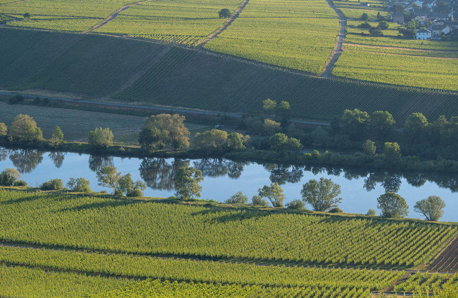 ICPhoto(qun)ƷՈ(qng)D(zhun)d