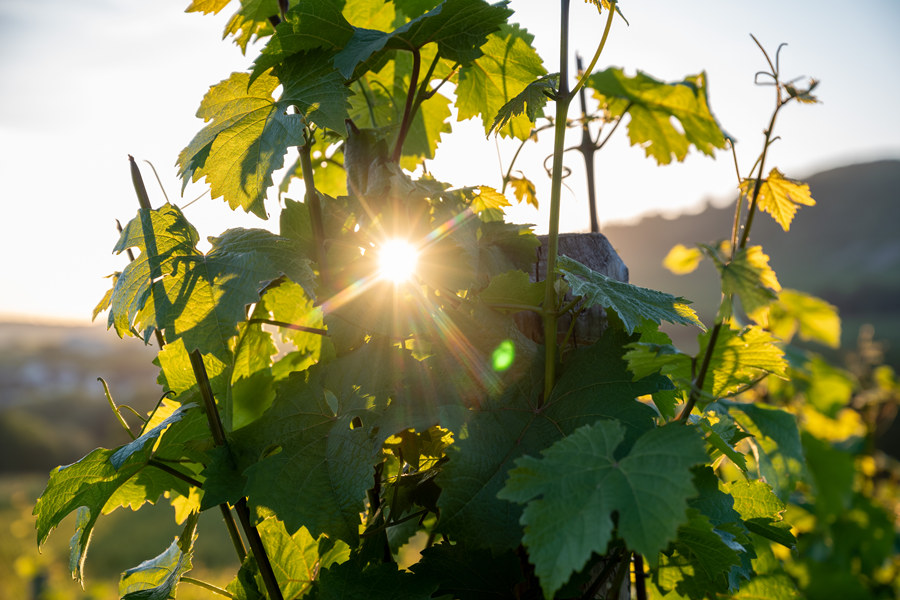 ICPhoto(qun)ƷՈD(zhun)d