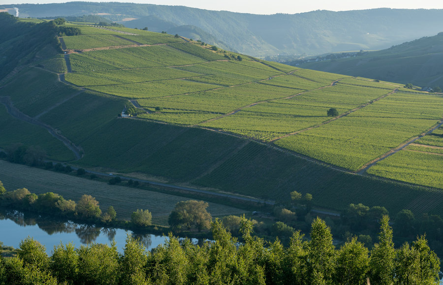 ICPhoto(qun)ƷՈD(zhun)d