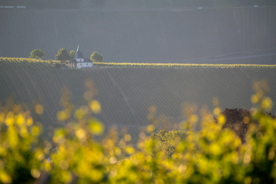 ICPhotoƷՈD(zhun)d