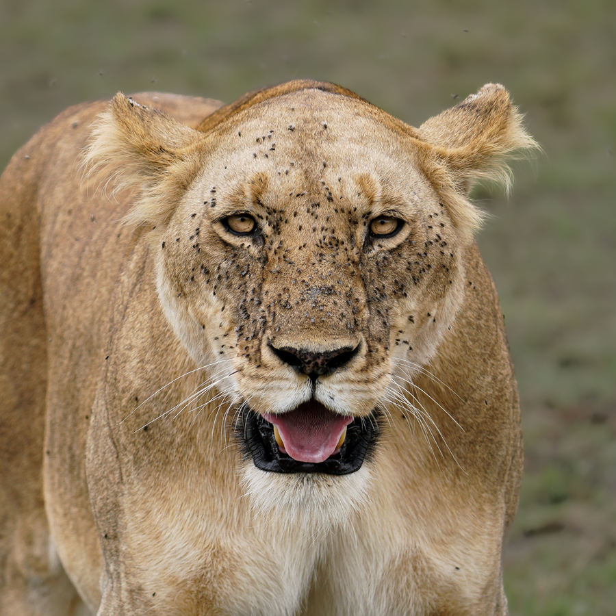 ICPhoto(qun)ƷՈD(zhun)d