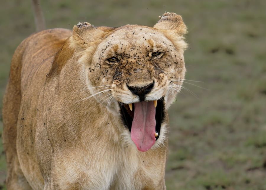 ICPhoto(qun)ƷՈD(zhun)d