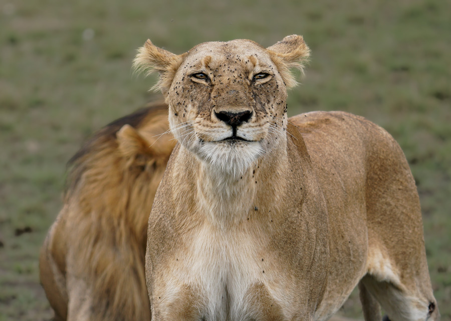 ICPhoto(qun)ƷՈD(zhun)d