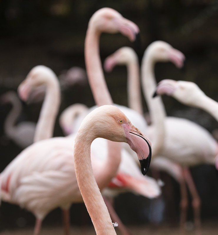 ICPhoto(qun)ƷՈD(zhun)d