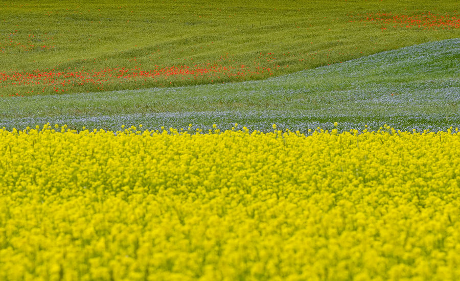 ICPhoto(qun)ƷՈ(qng)D(zhun)d