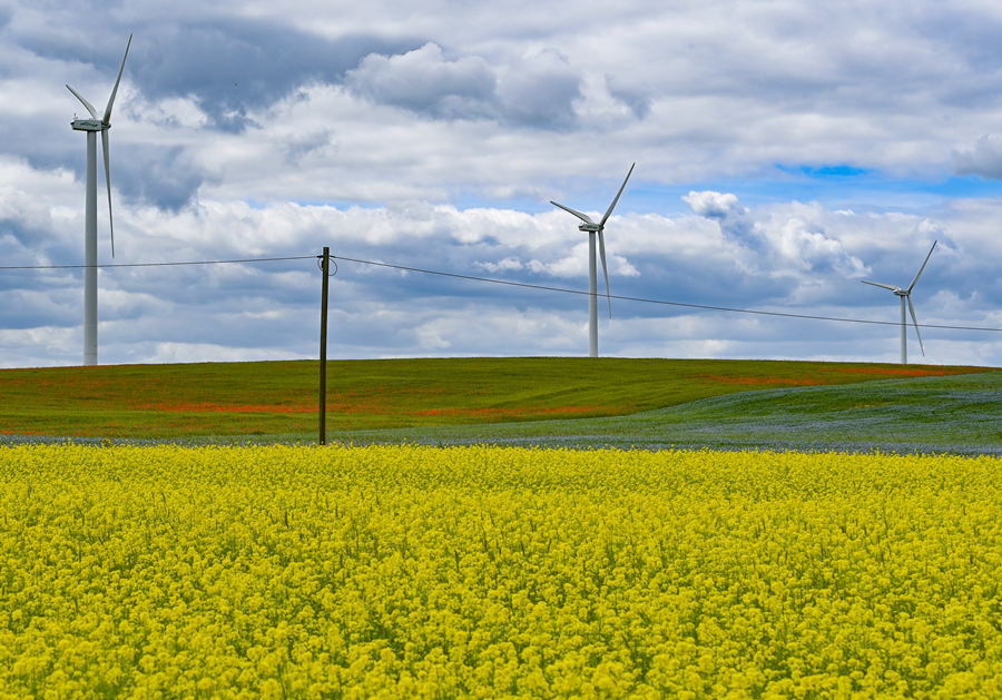 ICPhoto(qun)ƷՈ(qng)D(zhun)d