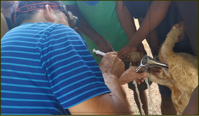 B(yng)(qing)ָ(do)˹ھg(sh)