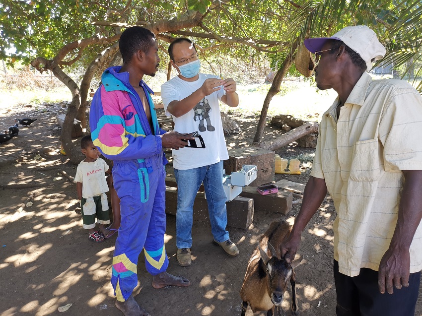 ҽMML(zhng)Yïָ(do)ί򲡼g(sh)