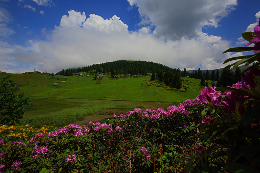 ICPhoto(qun)ƷՈ(qng)D(zhun)d