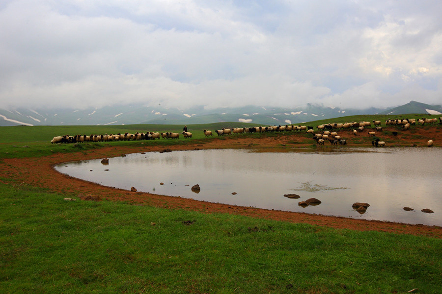 ICPhoto(qun)ƷՈ(qng)D(zhun)d