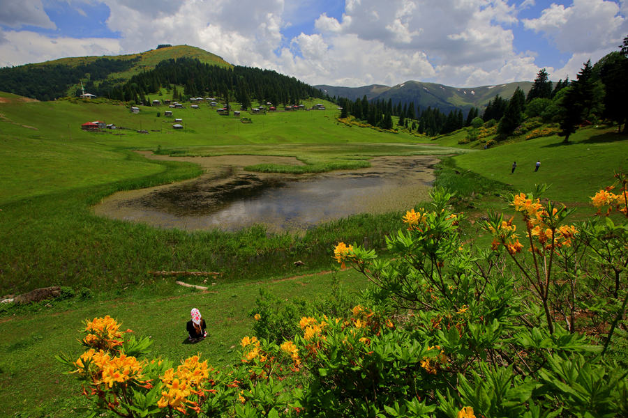 ICPhoto(qun)ƷՈD(zhun)d