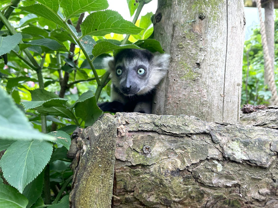 ICPhoto(qun)ƷՈ(qng)D(zhun)d