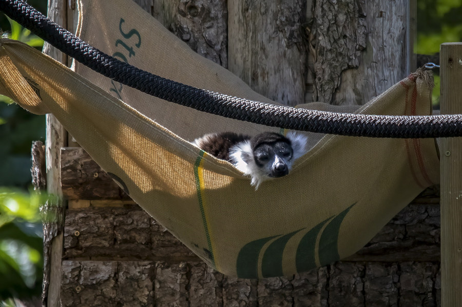 ICPhoto(qun)ƷՈ(qng)D(zhun)d