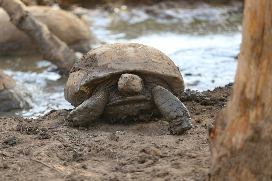 ICPhoto(qun)ƷՈ(qng)D(zhun)d