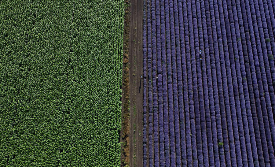 ICPhoto(qun)ƷՈD(zhun)d