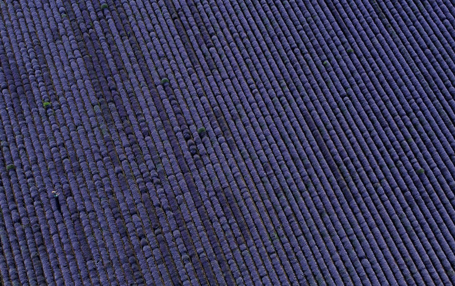 ICPhoto(qun)ƷՈ(qng)D(zhun)d