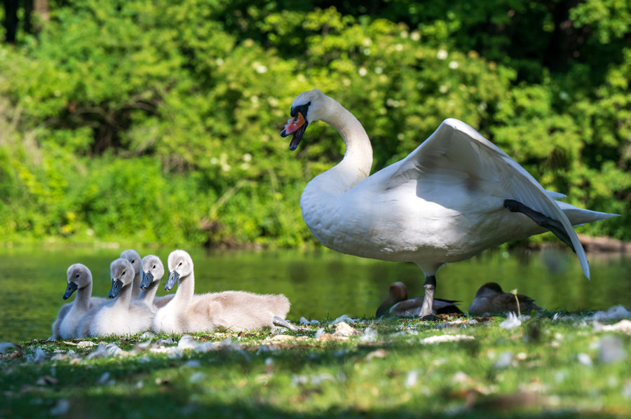 ICPhoto(qun)ƷՈ(qng)D(zhun)d