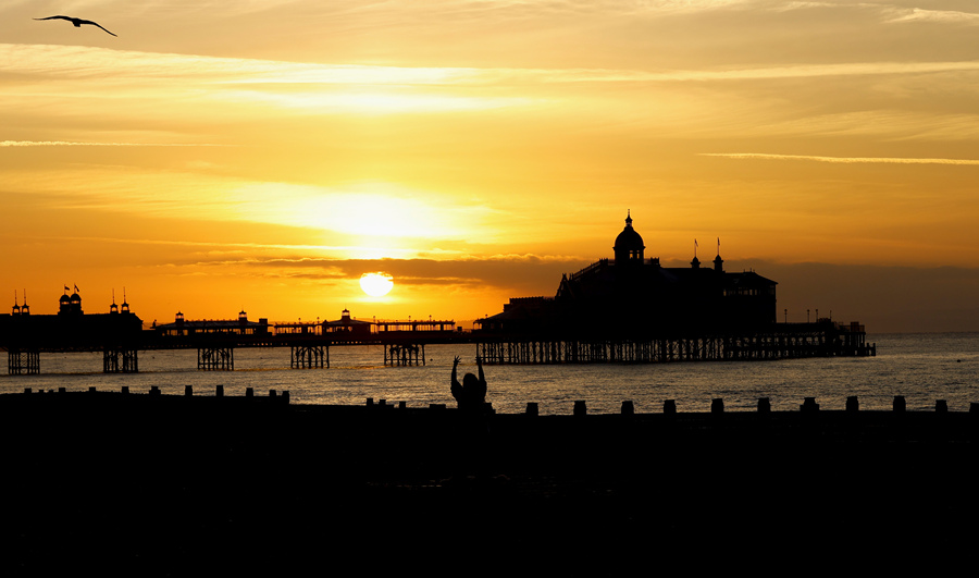 ICPhoto(qun)ƷՈ(qng)D(zhun)d