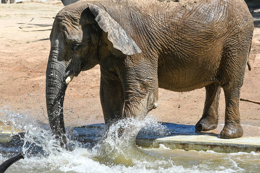 ICPhoto(qun)ƷՈ(qng)D(zhun)d