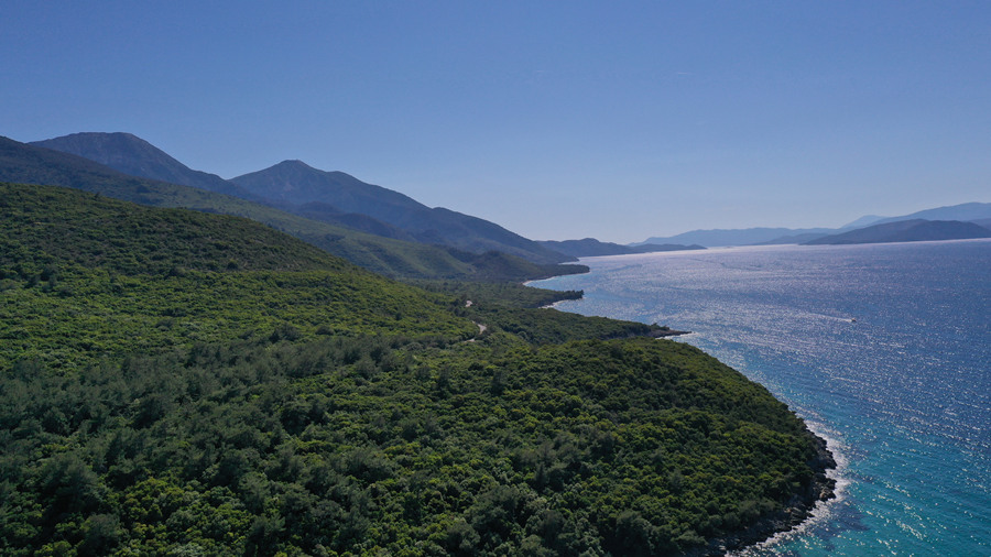 ICPhoto(qun)ƷՈD(zhun)d