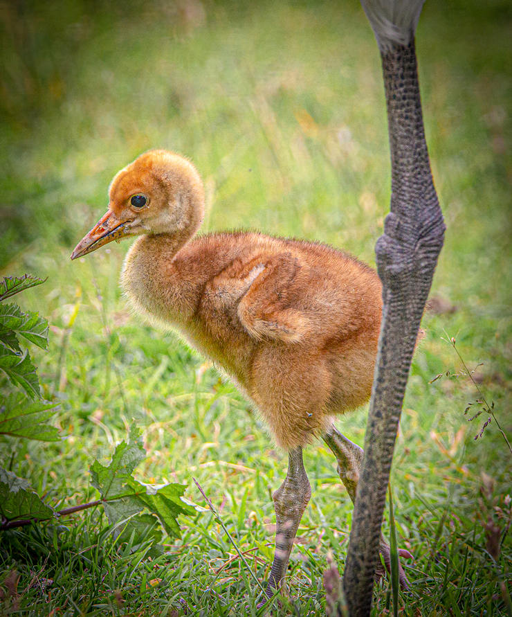 ICPhoto(qun)ƷՈ(qng)D(zhun)d