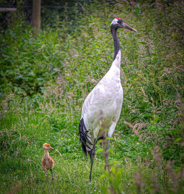 ICPhoto(qun)ƷՈD(zhun)d