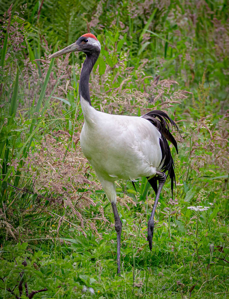 ICPhotoƷՈD(zhun)d