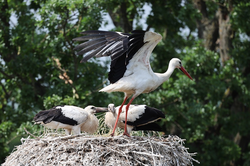 IC Photo(qun)ƷՈD(zhun)d