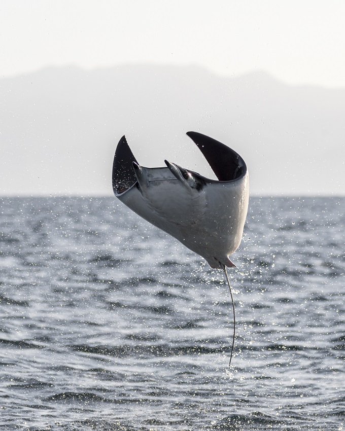 IC Photo(qun)ƷՈ(qng)D(zhun)d