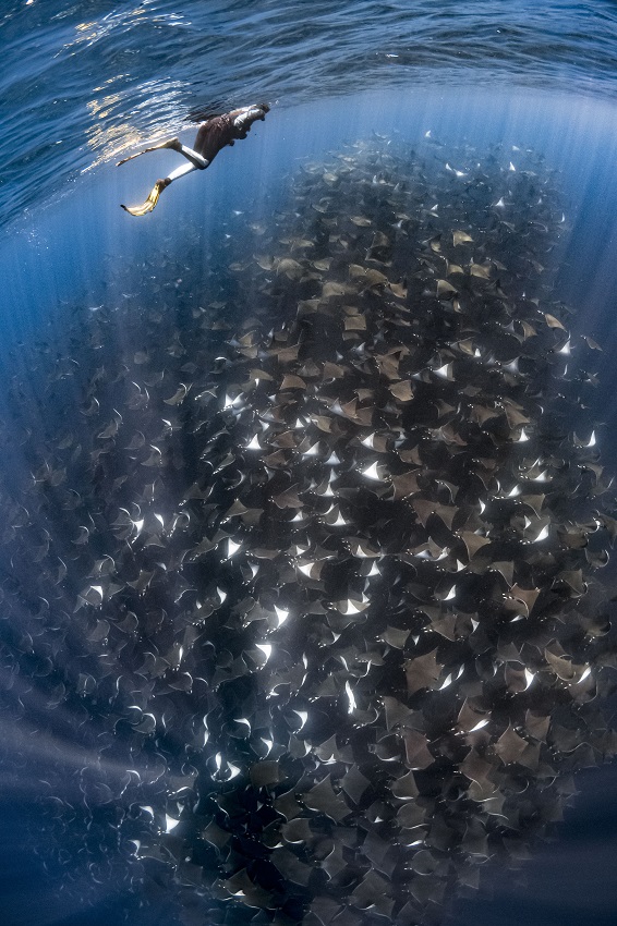 IC Photo(qun)ƷՈ(qng)D(zhun)d