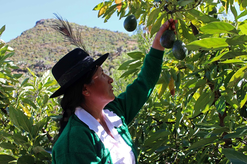 IC Photo(qun)ƷՈ(qng)D(zhun)d