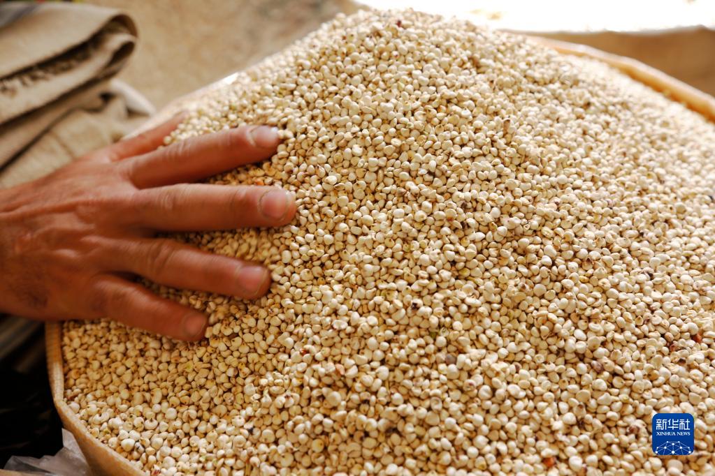 @629ҲT_ĔzĴ۵ļZʳ(jng)(j)cl(f)չM(jng)ϽM(lin)χ(gu)Zʳr(nng)I(y)MZr(nng)M29(lin)ϰl(f)2022-2031r(nng)I(y)չ(bo)ָȫr(nng)a(chn)ƷИI(y)δʮR(zhn)ҪԿɳm(x)ʽB(yng)L(zhng)˿ڡ(yng)(du)ΣC(j)Ӱ푵ȎʳƷ(yng)Дț_Al(f)ºĬ¡ºĬz