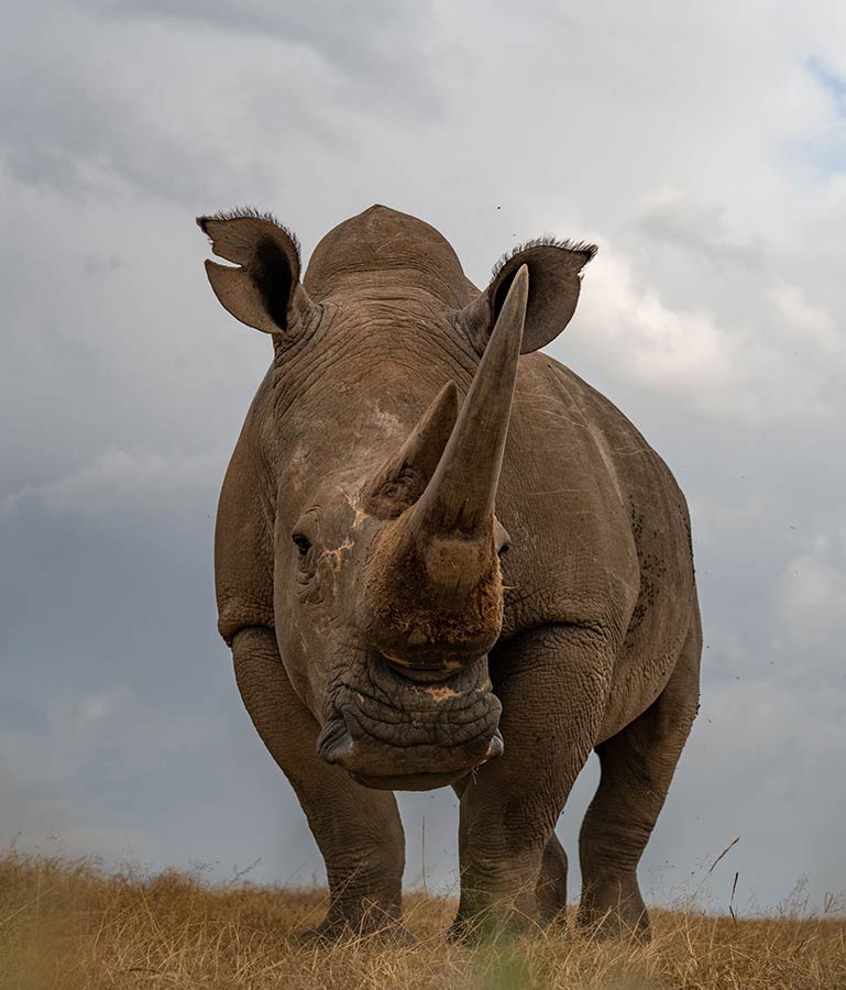 IC Photo(qun)ƷՈD(zhun)d