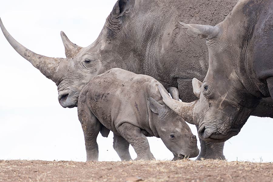 IC Photo(qun)ƷՈ(qng)D(zhun)d