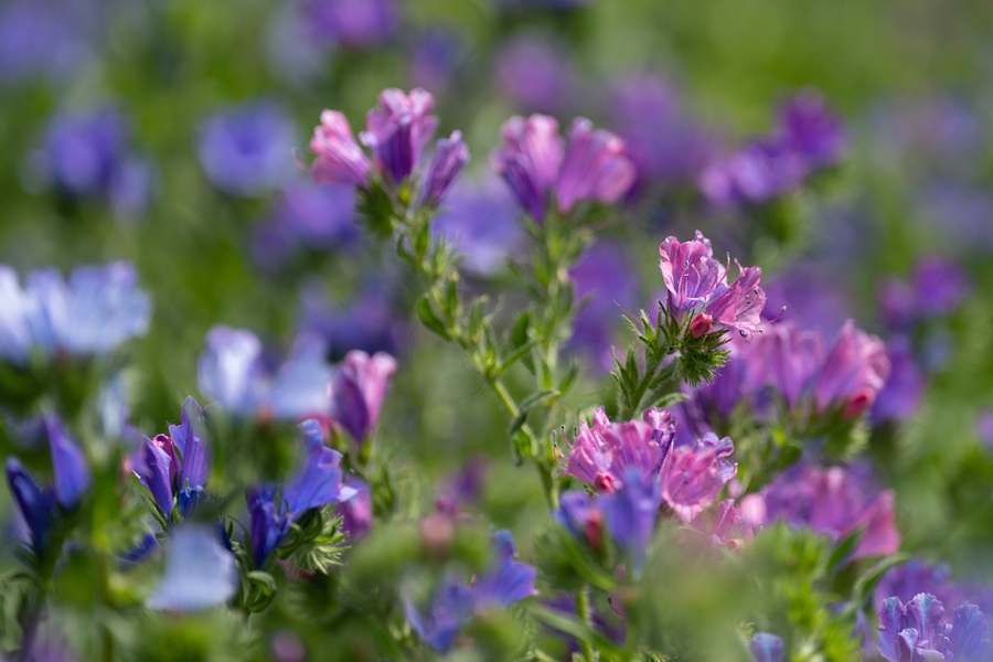 ҕXЇ(qun)ƷՈD(zhun)d